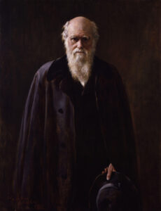 04 Darwin. A copy made by John Collier (1850-1934) in 1883 of his 1881 portrait of Charles Darwin